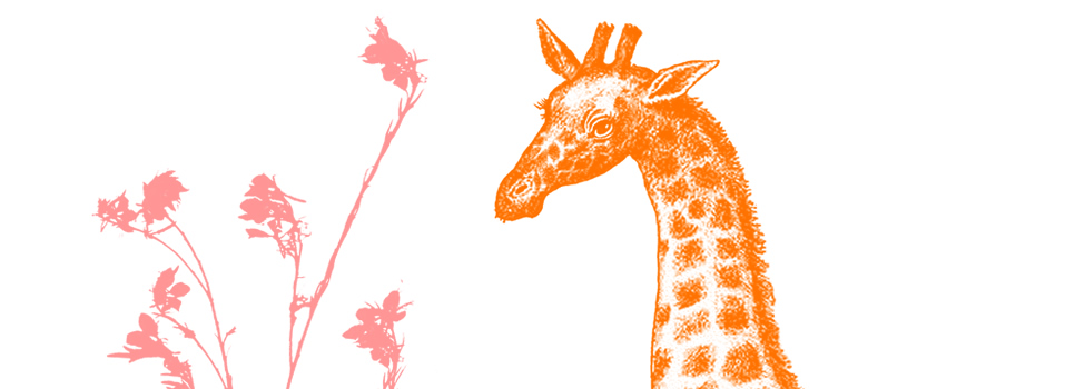slepen Peave schroot Supermaggie - Shop By Design - Giraffe